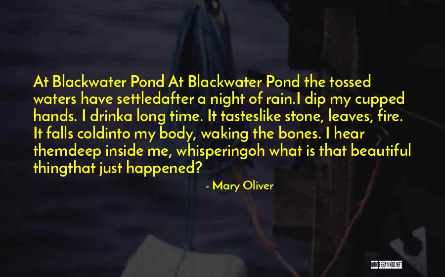 Rain Poetry Quotes By Mary Oliver Rain Poetry Quotes By Mary Oliver