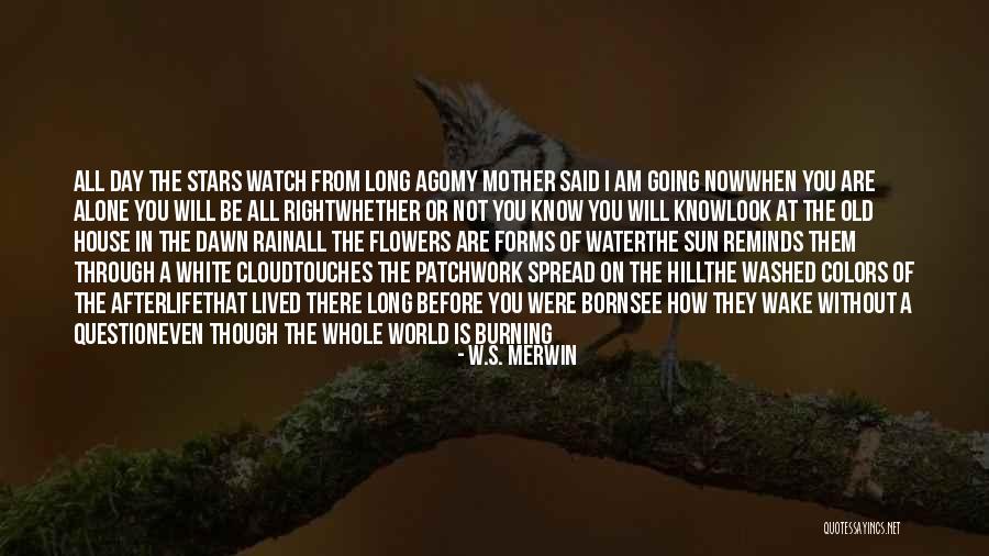 Rain Poetry Quotes By W.S. Merwin Rain Poetry Quotes By W.S. Merwin