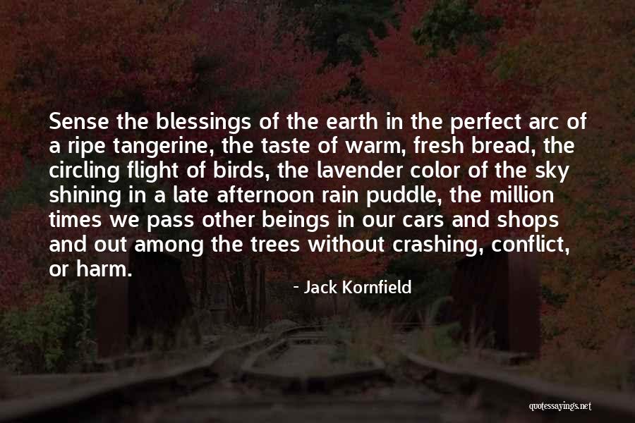 Rain Puddle Quotes By Jack Kornfield Rain Puddle Quotes By Jack Kornfield