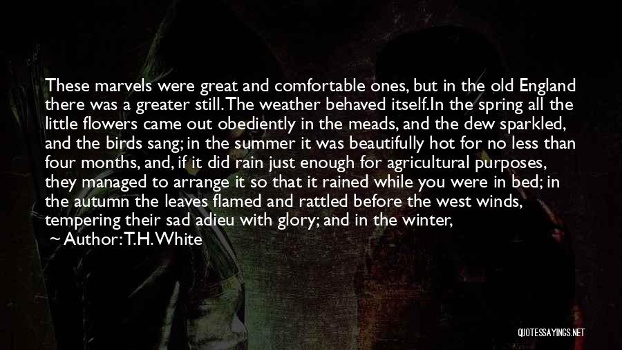 Rain Sad Quotes By T.H. White