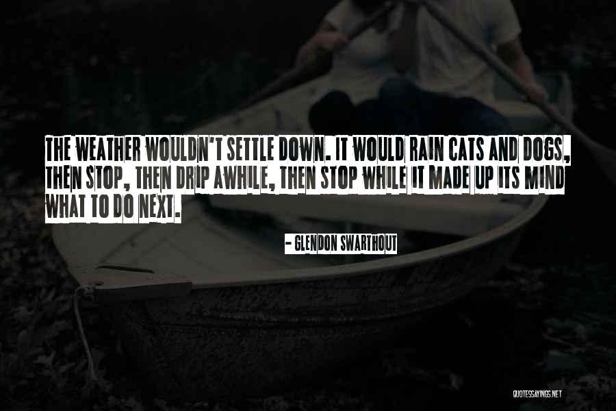 Rain Showers Quotes By Glendon Swarthout Rain Showers Quotes By Glendon Swarthout