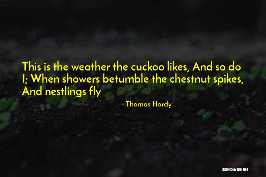 Rain Showers Quotes By Thomas Hardy Rain Showers Quotes By Thomas Hardy