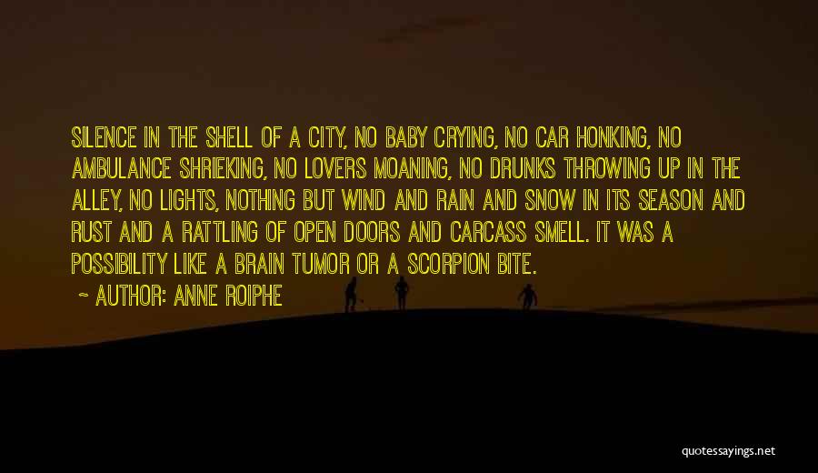 Rain Smell Quotes By Anne Roiphe