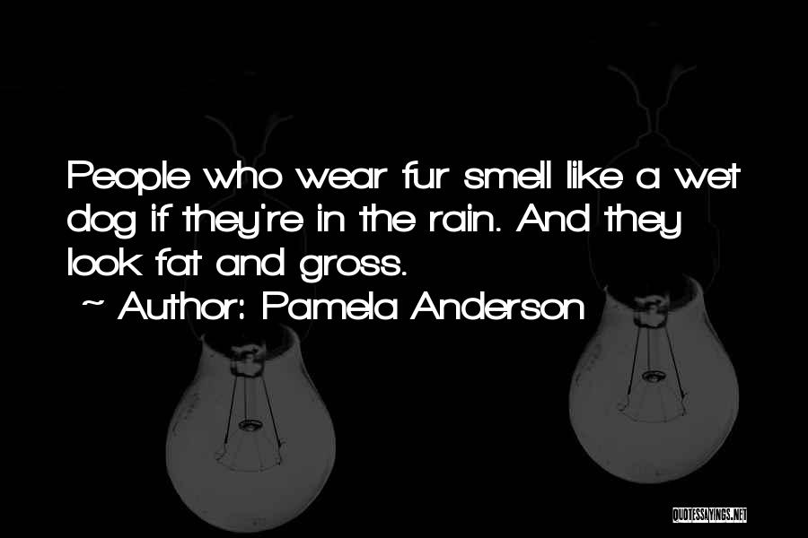 Rain Smell Quotes By Pamela Anderson