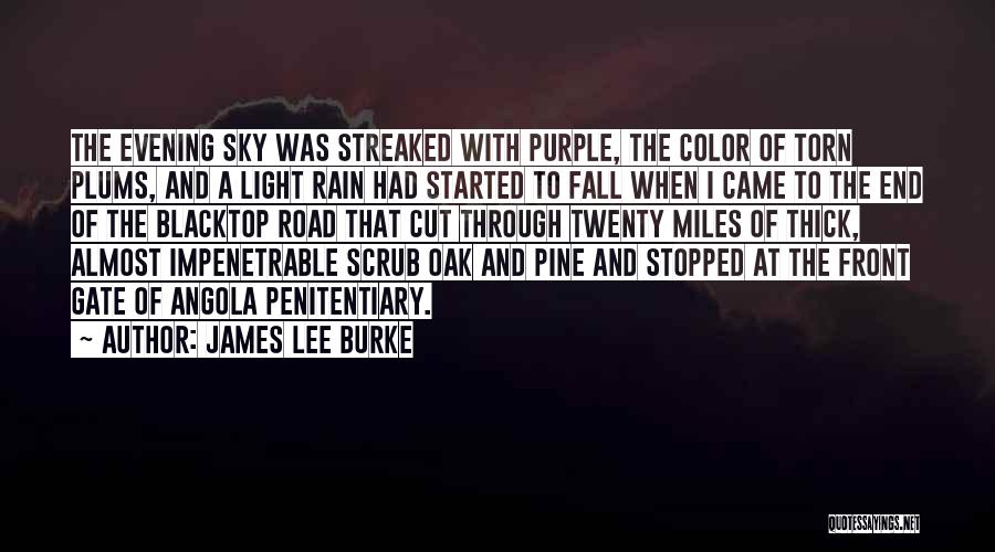 Rain Started Quotes By James Lee Burke