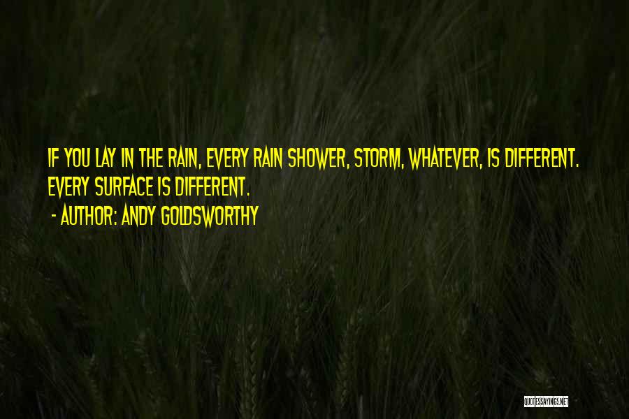 Rain Storm Quotes By Andy Goldsworthy