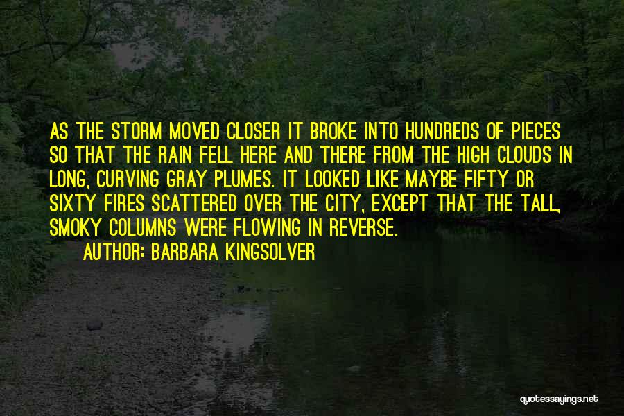 Rain Storm Quotes By Barbara Kingsolver