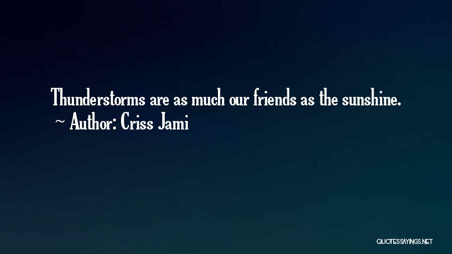 Rain Storm Quotes By Criss Jami