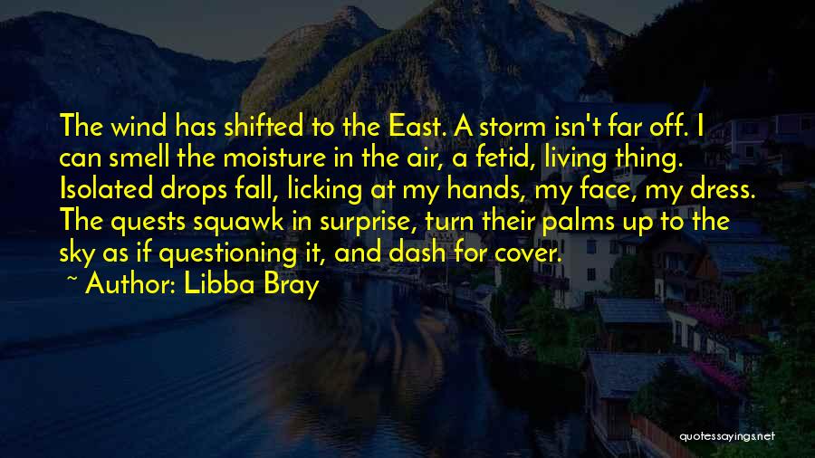 Rain Storm Quotes By Libba Bray