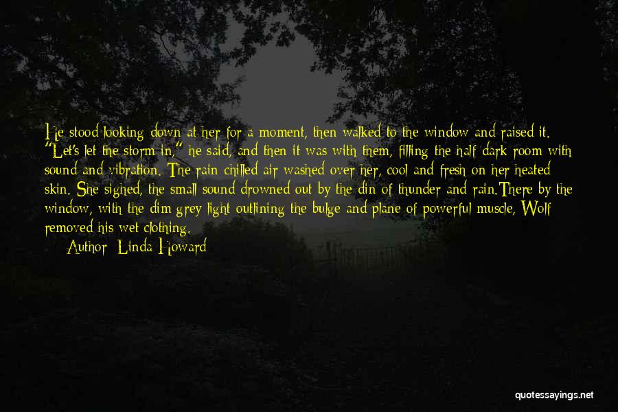 Rain Storm Quotes By Linda Howard