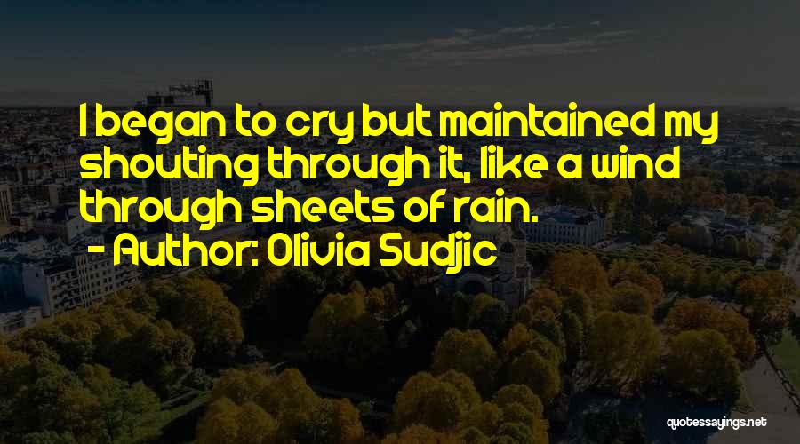Rain Storm Quotes By Olivia Sudjic