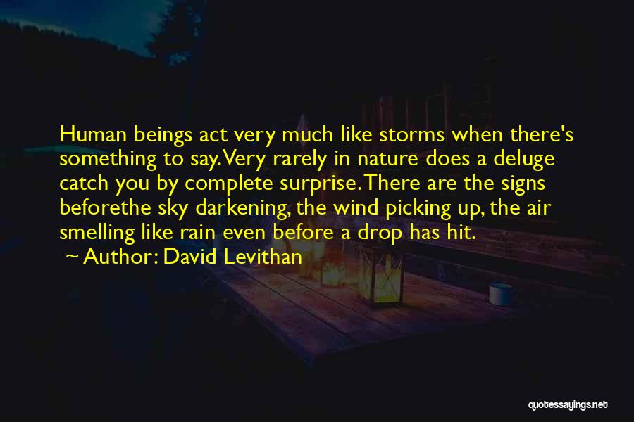 Rain Storms Quotes By David Levithan