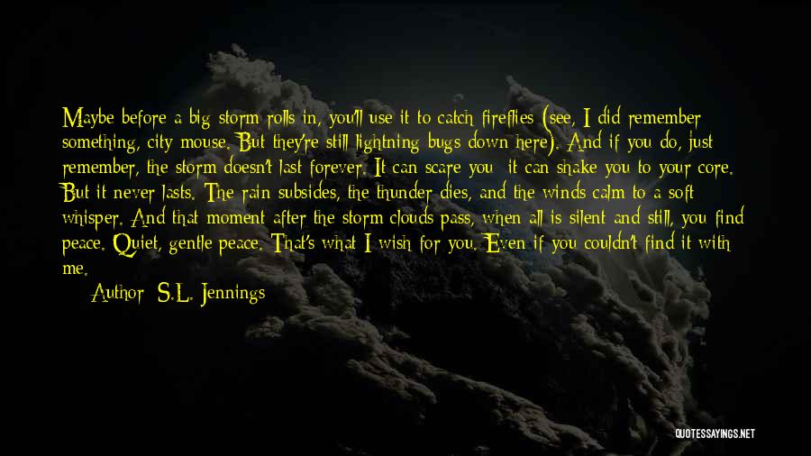 Rain Thunder And Lightning Quotes By S.L. Jennings