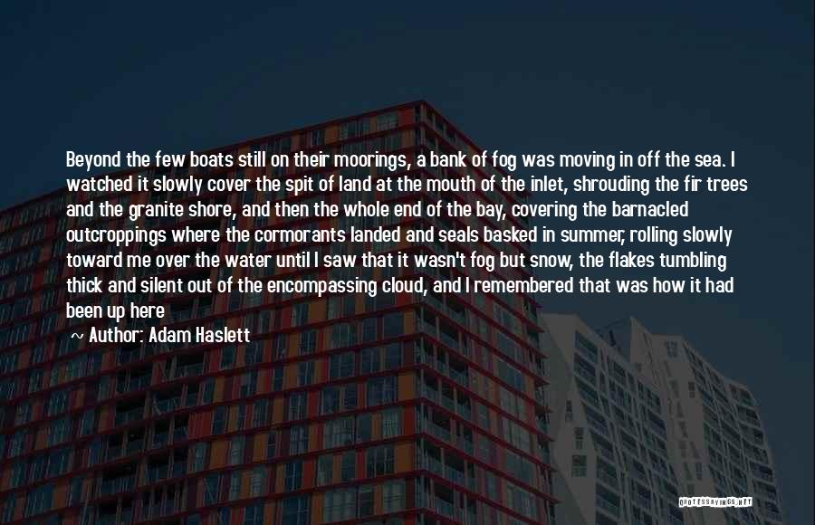 Rain Thunderstorm Quotes By Adam Haslett