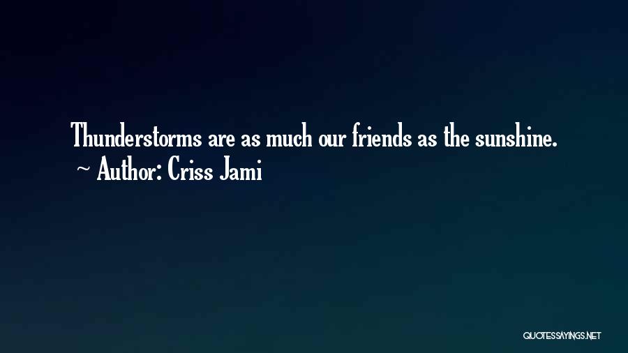 Rain Thunderstorm Quotes By Criss Jami