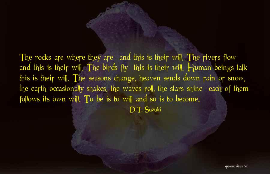 Rain To Shine Quotes By D.T. Suzuki Rain To Shine Quotes By D.T. Suzuki