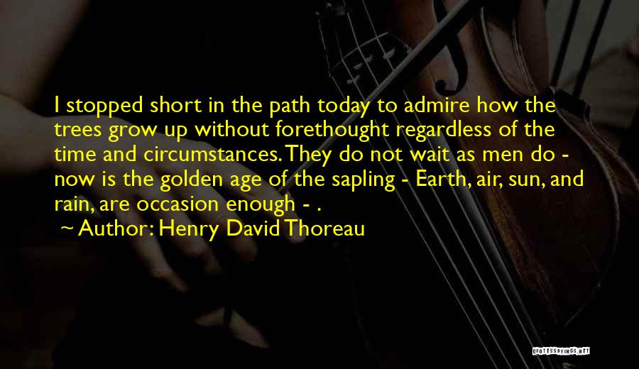 Rain Today Quotes By Henry David Thoreau