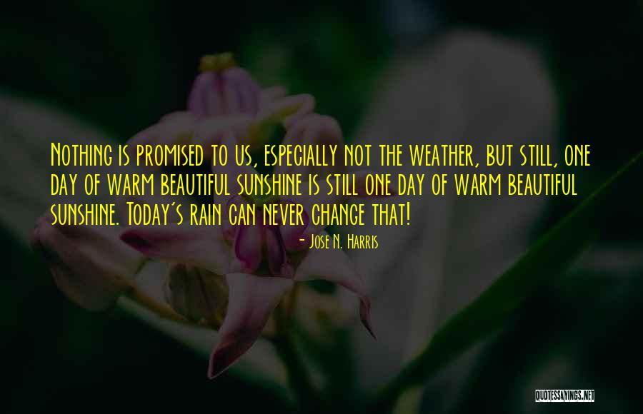 Rain Today Quotes By Jose N. Harris