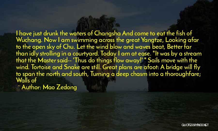Rain Today Quotes By Mao Zedong