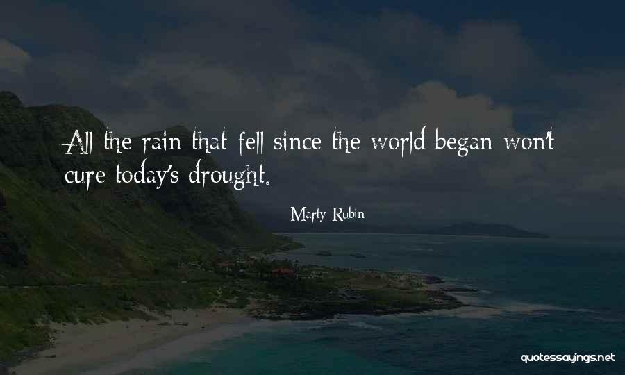 Rain Today Quotes By Marty Rubin