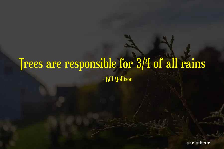 Rain Tree Quotes By Bill Mollison Rain Tree Quotes By Bill Mollison