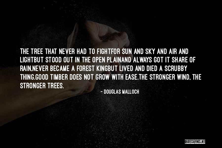 Rain Tree Quotes By Douglas Malloch