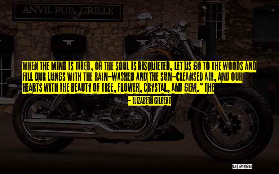 Rain Tree Quotes By Elizabeth Gilbert Rain Tree Quotes By Elizabeth Gilbert
