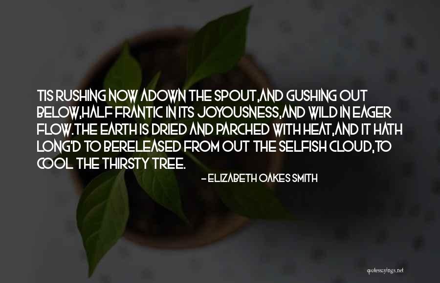 Rain Tree Quotes By Elizabeth Oakes Smith