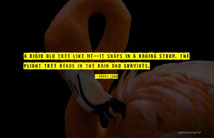 Rain Tree Quotes By Emery Lord