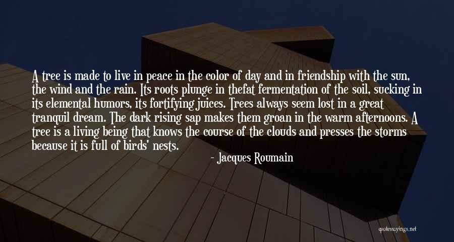 Rain Tree Quotes By Jacques Roumain