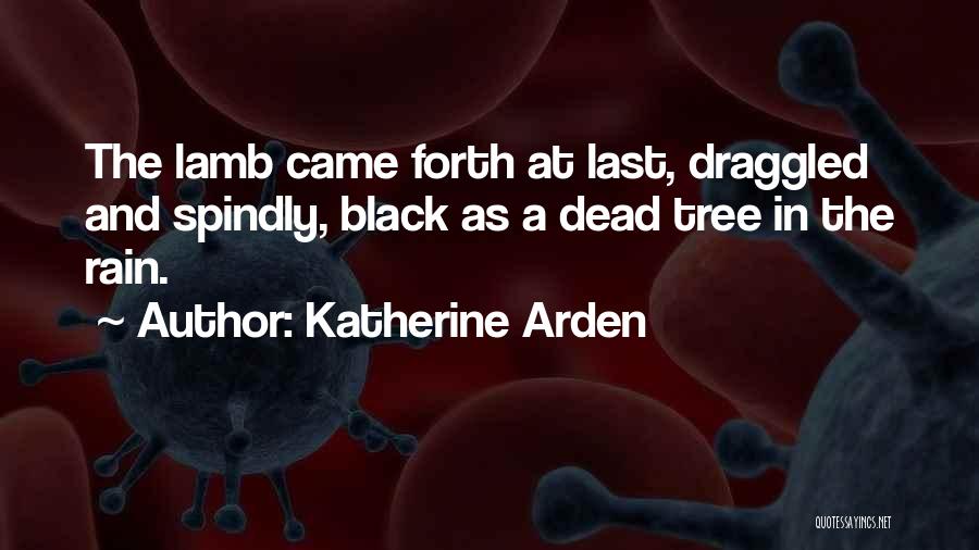 Rain Tree Quotes By Katherine Arden