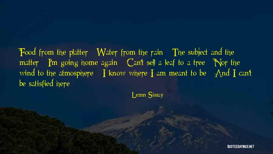 Rain Tree Quotes By Lemn Sissay