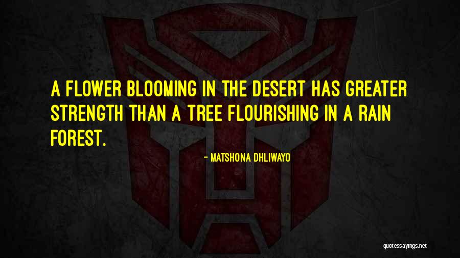 Rain Tree Quotes By Matshona Dhliwayo Rain Tree Quotes By Matshona Dhliwayo
