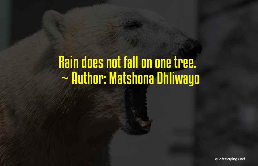 Rain Tree Quotes By Matshona Dhliwayo