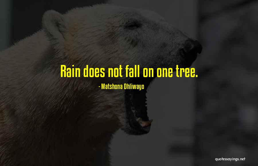 Rain Tree Quotes By Matshona Dhliwayo