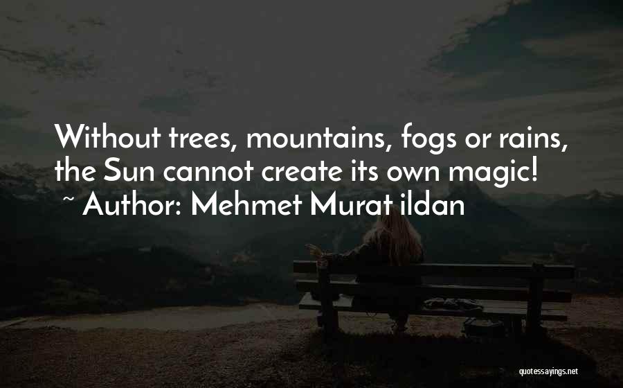 Rain Tree Quotes By Mehmet Murat Ildan