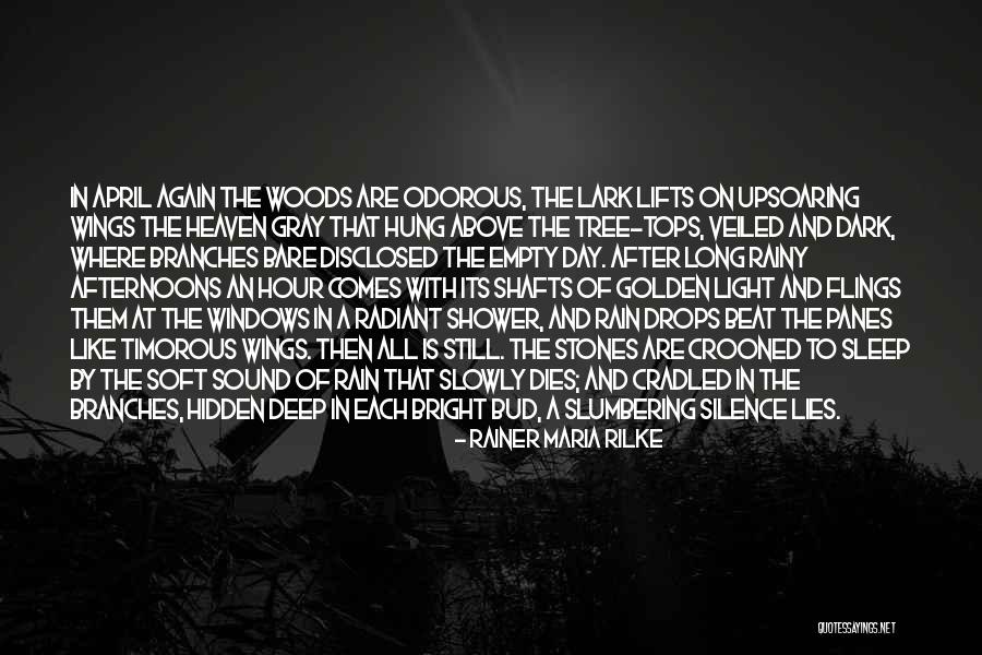 Rain Tree Quotes By Rainer Maria Rilke Rain Tree Quotes By Rainer Maria Rilke