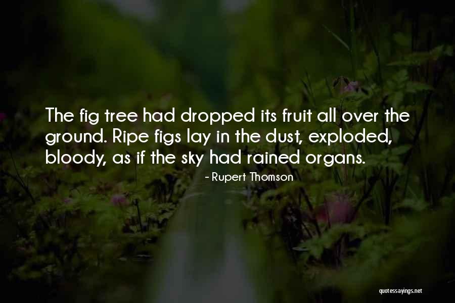 Rain Tree Quotes By Rupert Thomson