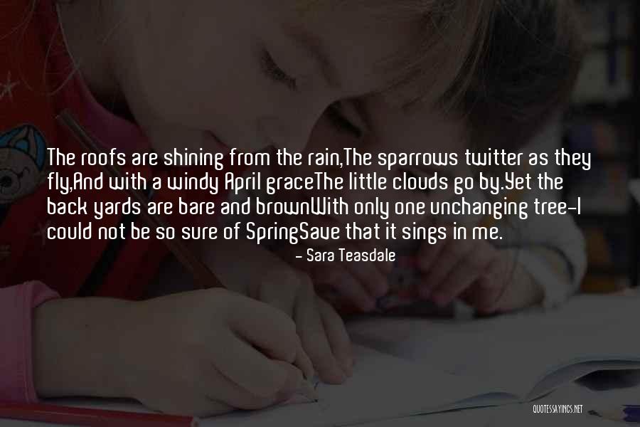 Rain Tree Quotes By Sara Teasdale Rain Tree Quotes By Sara Teasdale