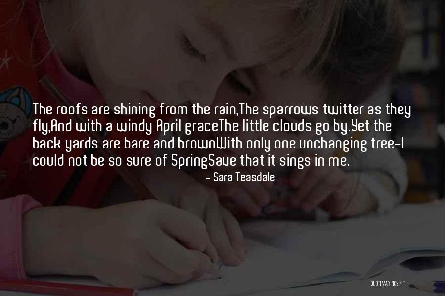 Rain Tree Quotes By Sara Teasdale