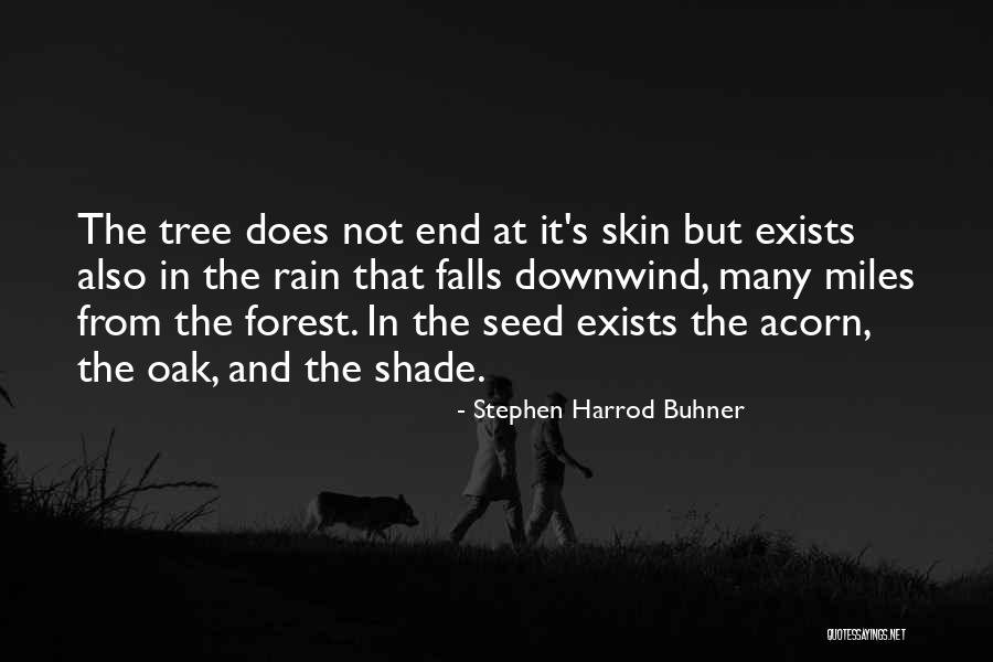 Rain Tree Quotes By Stephen Harrod Buhner