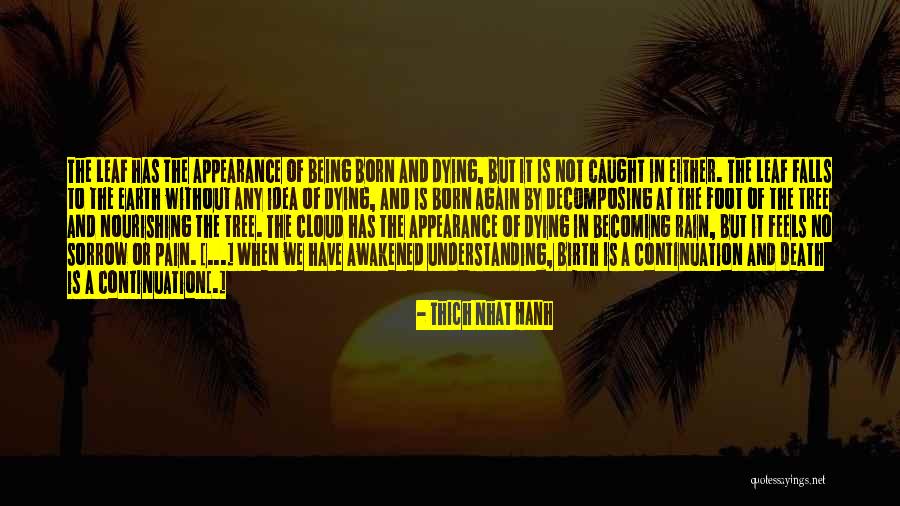 Rain Tree Quotes By Thich Nhat Hanh Rain Tree Quotes By Thich Nhat Hanh