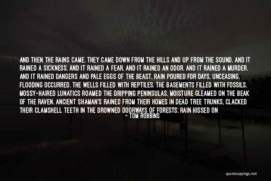Rain Tree Quotes By Tom Robbins Rain Tree Quotes By Tom Robbins