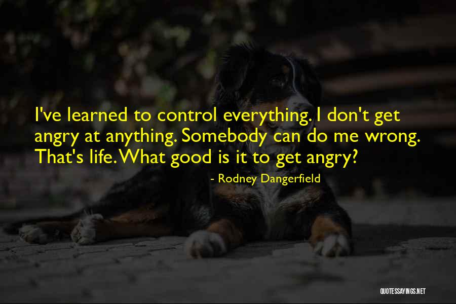 Rainbolt Property Quotes By Rodney Dangerfield Rainbolt Property Quotes By Rodney Dangerfield