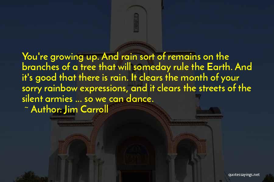 Rainbow And Rain Quotes By Jim Carroll