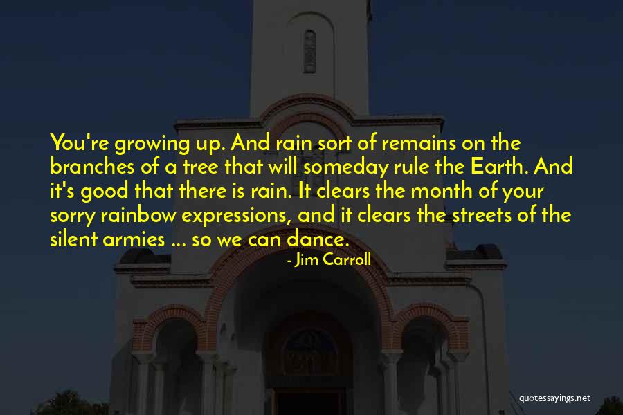 Rainbow And Rain Quotes By Jim Carroll