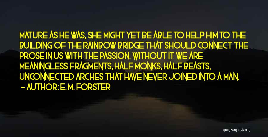 Rainbow Bridge Quotes By E. M. Forster