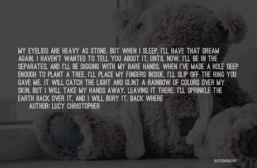 Rainbow Colors Quotes By Lucy Christopher