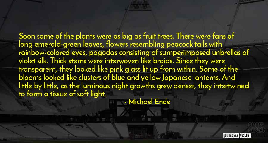 Rainbow Flowers Quotes By Michael Ende Rainbow Flowers Quotes By Michael Ende