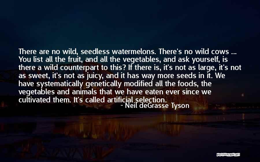 Rainbow Ornament Quotes By Neil DeGrasse Tyson Rainbow Ornament Quotes By Neil DeGrasse Tyson
